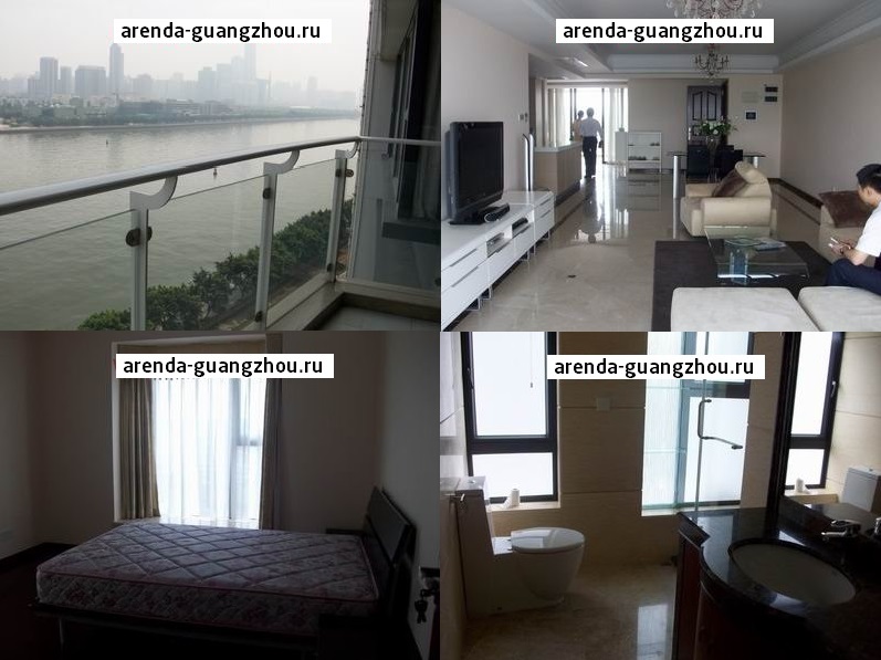 2009061720512611982
